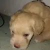 Eduardo Duque - @eduardo.duque05 - TikTok
