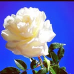 Eduardo Fleming - Facebook