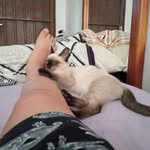 Eduardo Gerhardt - @eduardo.gerhardt.165 - Instagram