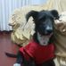 Eduardo Grados - Facebook