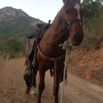 Eduardo Jaquez - @jaquez1171 - Instagram