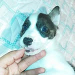 Eduardo Joaquin - @eduardo.joaquin28 - Instagram