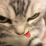 Eduardo Kaiser - @xdukaiser - Instagram