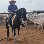 Eduardo Knapp - @eduardo.knapp - Instagram