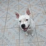 Anthony Eduardo kramer - @anthonyeduardokramer - Instagram