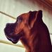 Eduardo Lamberti - Facebook