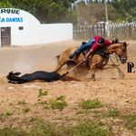 Eduardo Leite - @eduardo__leeite - Instagram