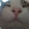 eduardolevin - @eduardolevin - TikTok