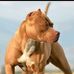 Eduardo Lezcano - Facebook