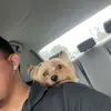 Eduardo lima - @eduardo_lima23 - TikTok