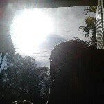 Eduardo Link - @duduliink - Instagram