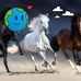 Eduardo Lo - Facebook