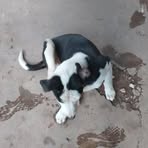 Eduardo Luque - Facebook