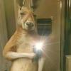 Eduardo Luque - @eduardo.luque17 - TikTok