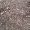 eduardoluzon445 - @eduardoluzon445 - TikTok