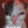 Eduardo León - @eduardomanson19 - TikTok