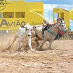 Eduardo Moraes - @eduardo.moraeess - Instagram