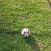 Eduardo Narvaez - Facebook