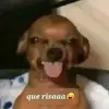 Eduardo Nava - @eduarnavar - TikTok