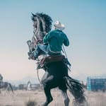 Eduardo olivarez - @lalinolivarez - Instagram