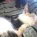 Eduardo Petersen - Facebook