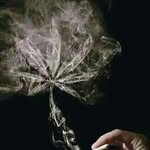 Eduardo Pizaña - @pizana_eduardo - Instagram