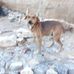 Eduardo Plata - Facebook
