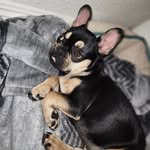 Eduardo Plata - @eduardo.1008 - Instagram