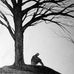 Eduardo Quinn - Facebook