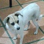 Eduardo Rapp - @eduardorapp - Instagram