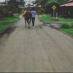Luis Eduardo Schaper Portocarrero - @schaperportocarrerol67 - Instagram