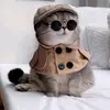 eduardo schell - @emilia._456 - TikTok