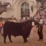 Eduardo Schulz - @eduardoschulz52 - Instagram