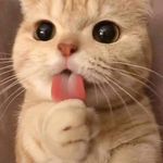 Eduardo Simpson - @eduardo.simpson.37669 - Instagram