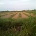Eduardo Soler - Facebook