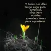eduardouyoaponcia - @eduardouyoaponcia - TikTok