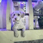 Eduardo Vides - @eduardo.videsv - Instagram