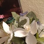 Eduviges Ramírez - @gutierrezeverardo325 - Instagram