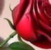 Banessa Lopez - Facebook