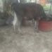 Eduwiges Barrera - Facebook