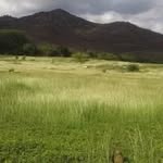 Edvin Alvarez - @edvinalvarez63 - Instagram
