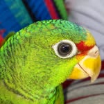 Ebn Gbo EcrMnz - @edvin_escobar_821 - Instagram