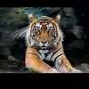 Edvin Escobar - @edvin.escobar3 - TikTok