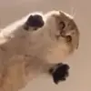 Edvin Løken - @shadowofecho - TikTok