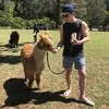 Edwin Loke - @edwin.loke - TikTok