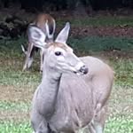 Edward Altman - @edward.altman.58511 - Instagram