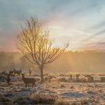 Edward James Payne - @edward_james_photography_ - Instagram