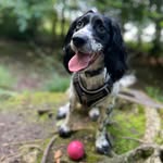 Edward Applewhite - @edward_applewhite - Instagram