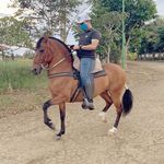 Edward Ardila 🐎🐎 - @edwardardila92 - Instagram