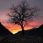 Edward Armour - @edward_armour - Instagram